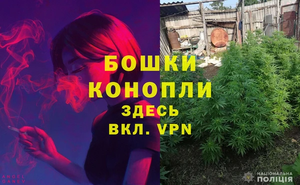 мескалин Богданович