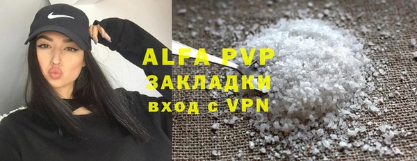гидра Бородино