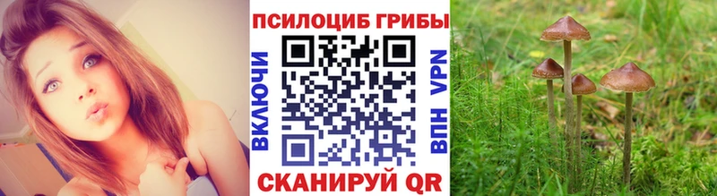 хочу   Кандалакша  МЕГА зеркало  Галлюциногенные грибы GOLDEN TEACHER 